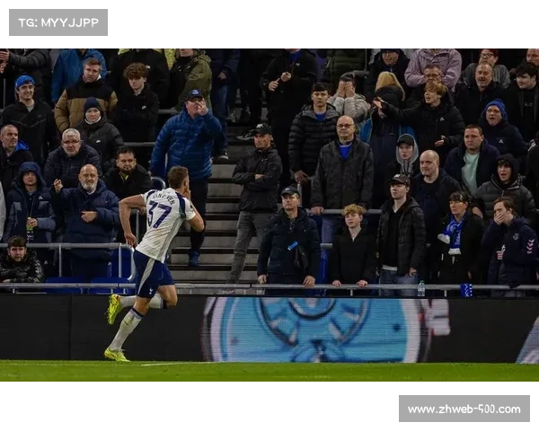 热刺客场三球胜埃弗顿 范德芬双响助队升至第三 热刺客场三球胜埃弗顿 范德芬双响助队升至第三